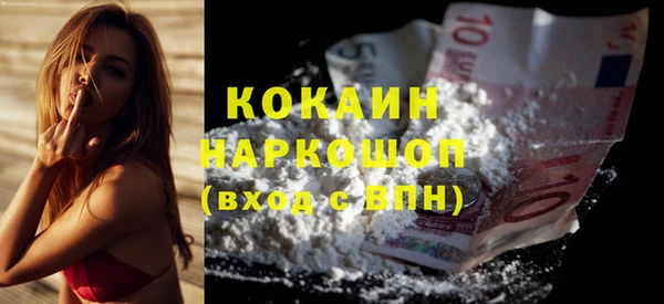 ешки Алексин