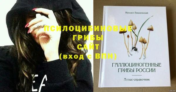 ГАЛЛЮЦИНОГЕННЫЕ ГРИБЫ Алзамай