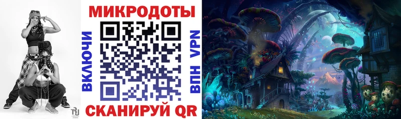 blacksprut ссылки Йошкар-Ола Псилоцибиновые грибы Psilocybe наркотики